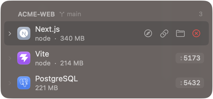 Servers grouped under their project with branch and port badges